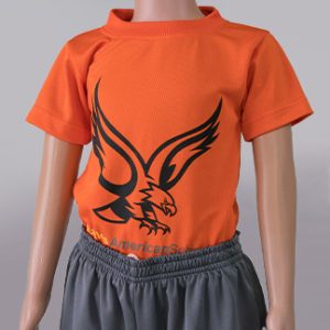 Orange_PE_2